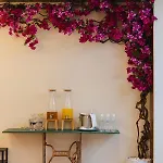 Hotel Luster 4*